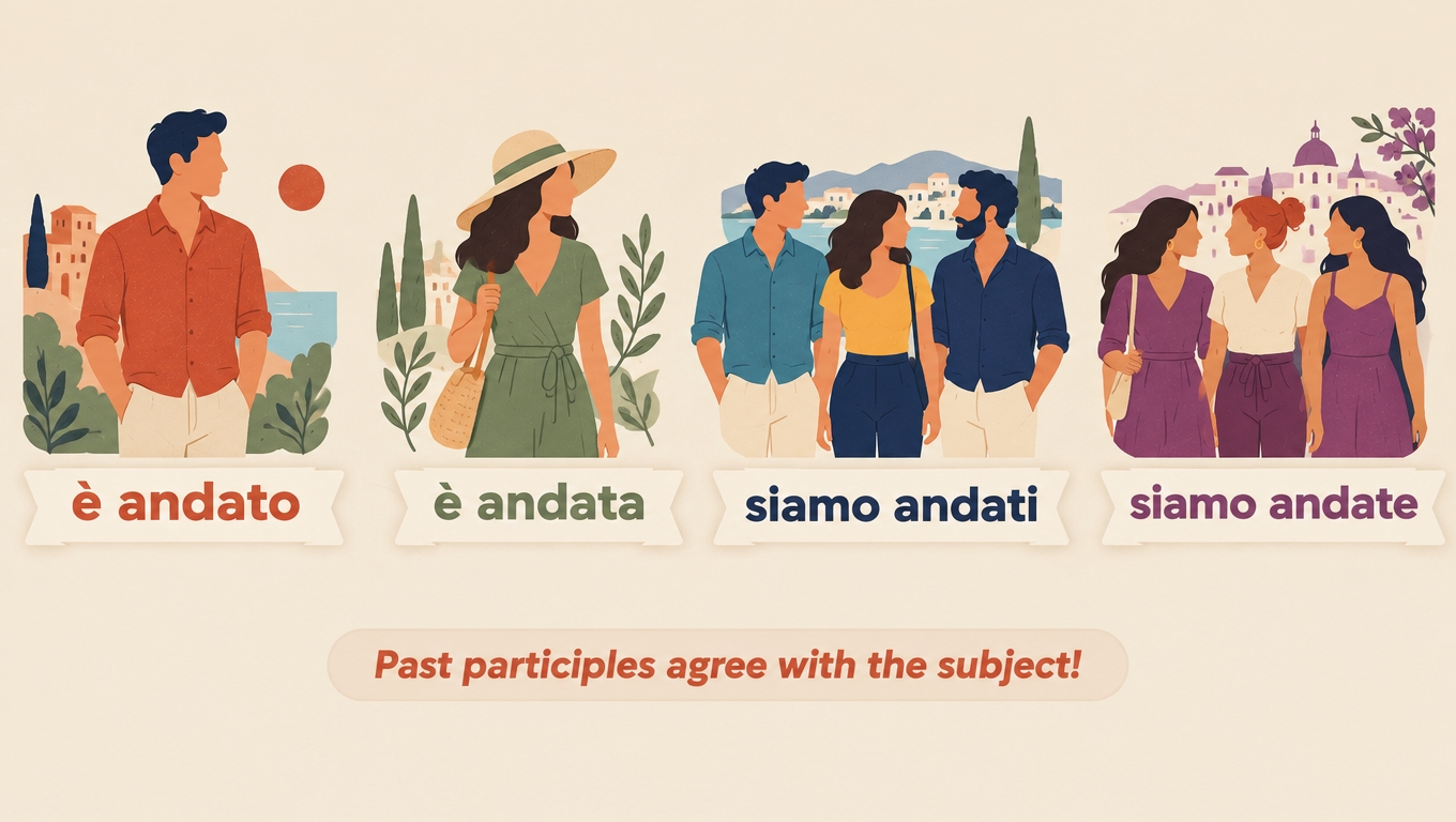 Four vignettes showing the past participle agreeing with the subject: è andato, è andata, siamo andati, siamo andate.